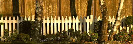 fence and shadows