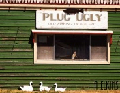 Plug Ugly